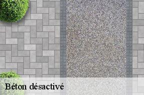 Béton désactivé  94500