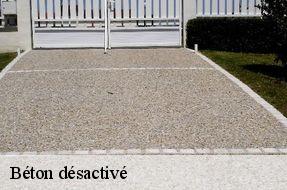 Béton désactivé  94700