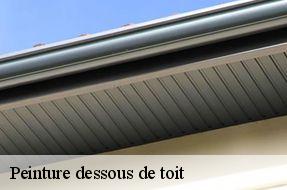 Peinture dessous de toit  94480