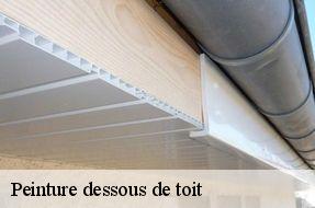 Peinture dessous de toit  94600