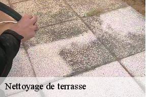 Nettoyage de terrasse  94500