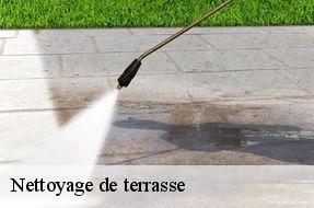 Nettoyage de terrasse  94430