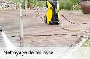 Nettoyage de terrasse  94430