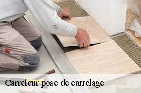 Carreleur pose de carrelage Val-de-Marne 