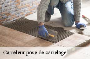 Carreleur pose de carrelage Val-de-Marne 